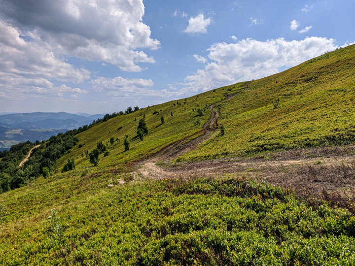 Carpathian, Ukraine