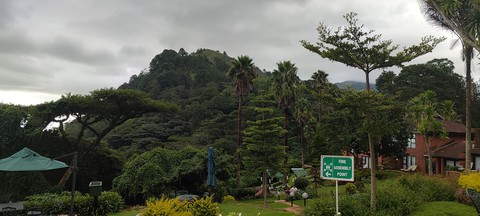 zomba