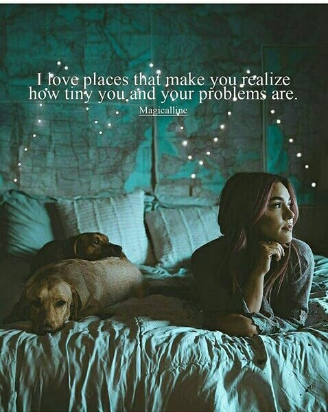 Quote