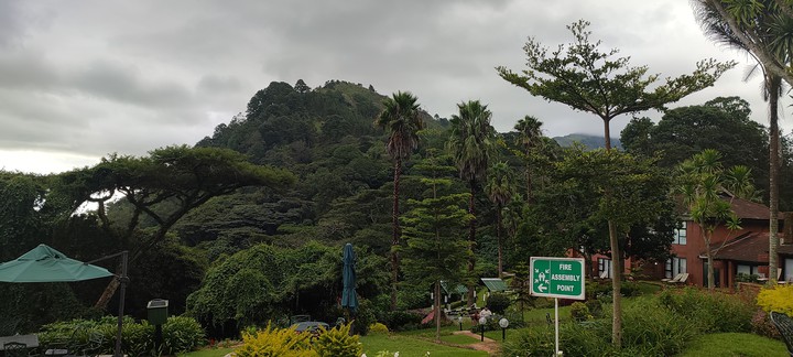 zomba