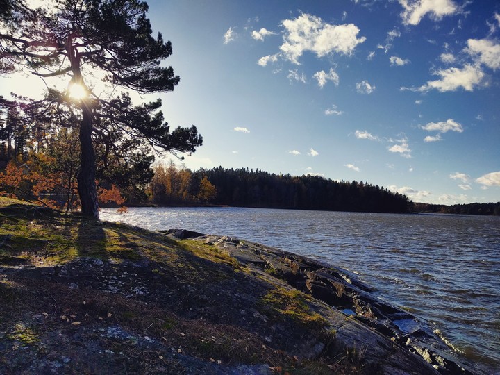 Autumn at the lake
