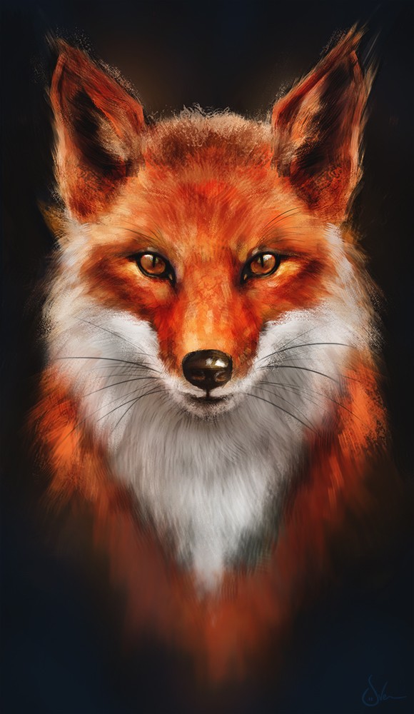 Fox