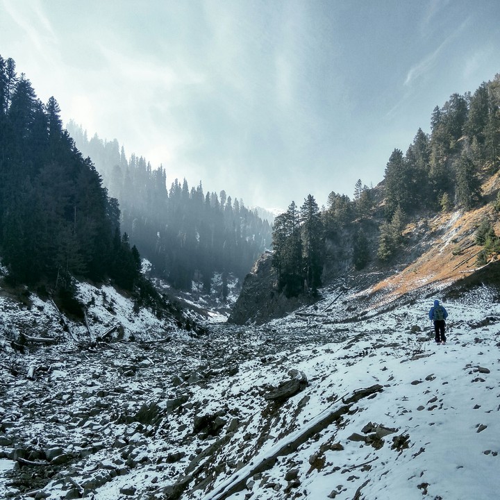 The Hiker