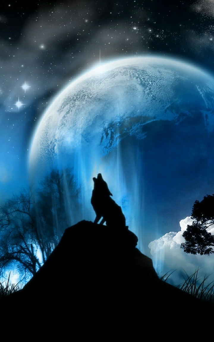 Wolf