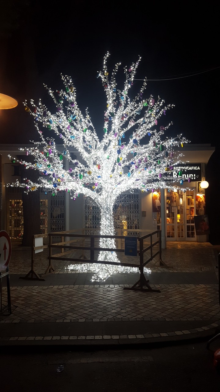 lights tree