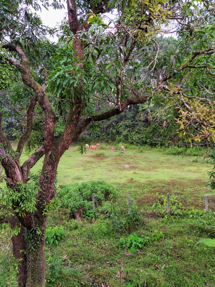 farmlands
