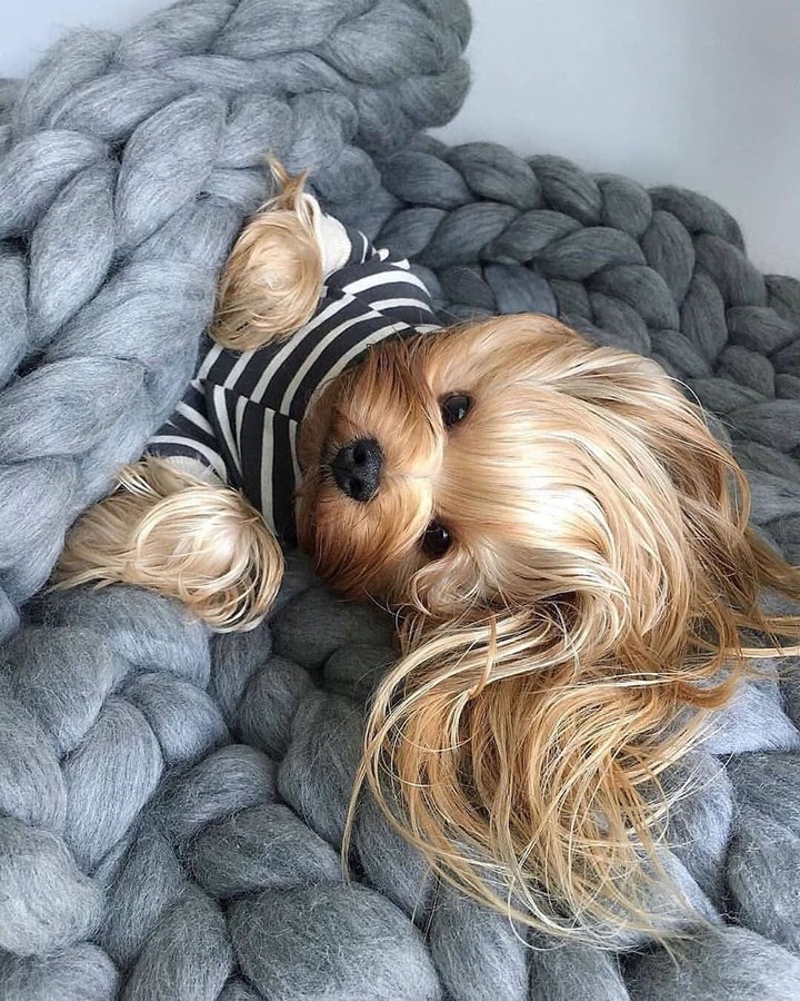 ☺️☺️☺️