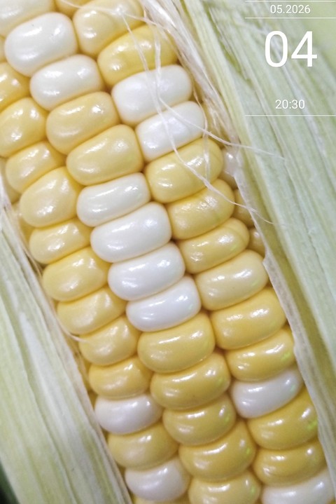 Ingredient, food壁紙
