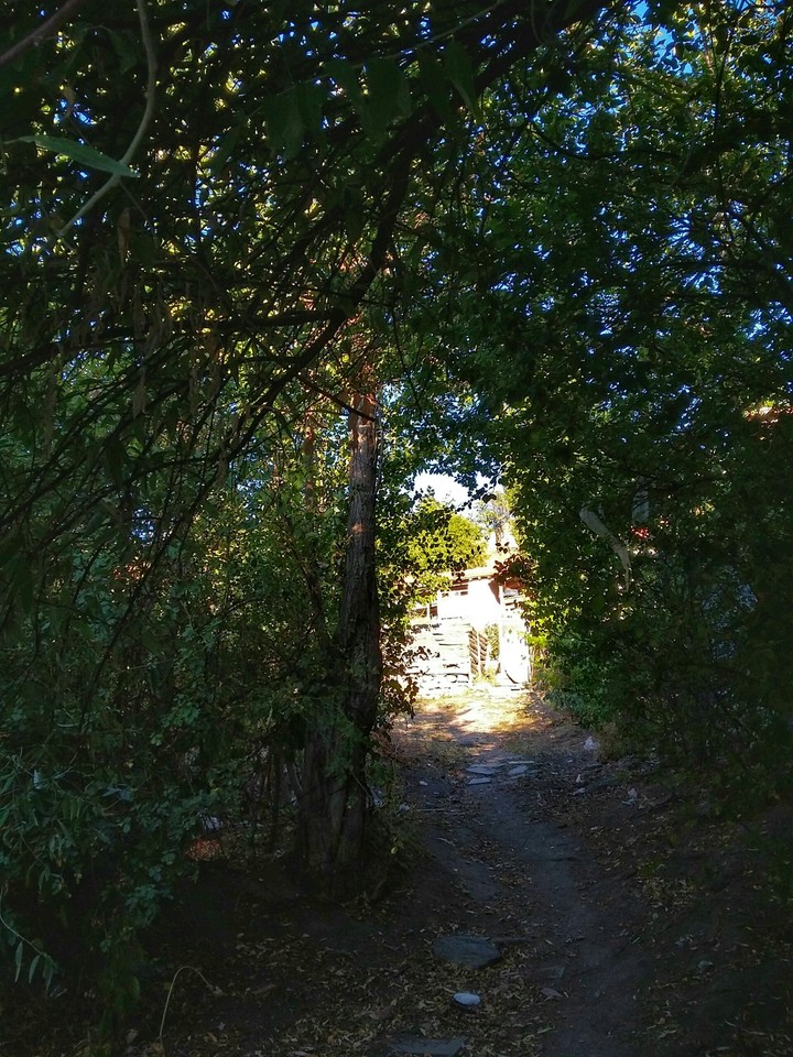 Doğa