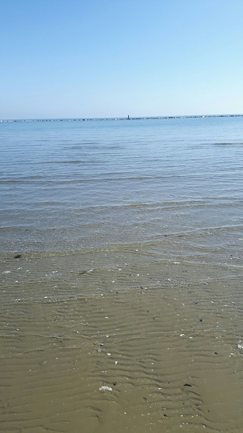 pace