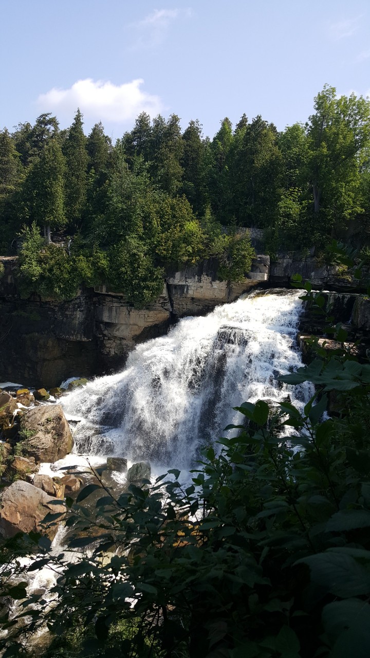 The beauty of nature