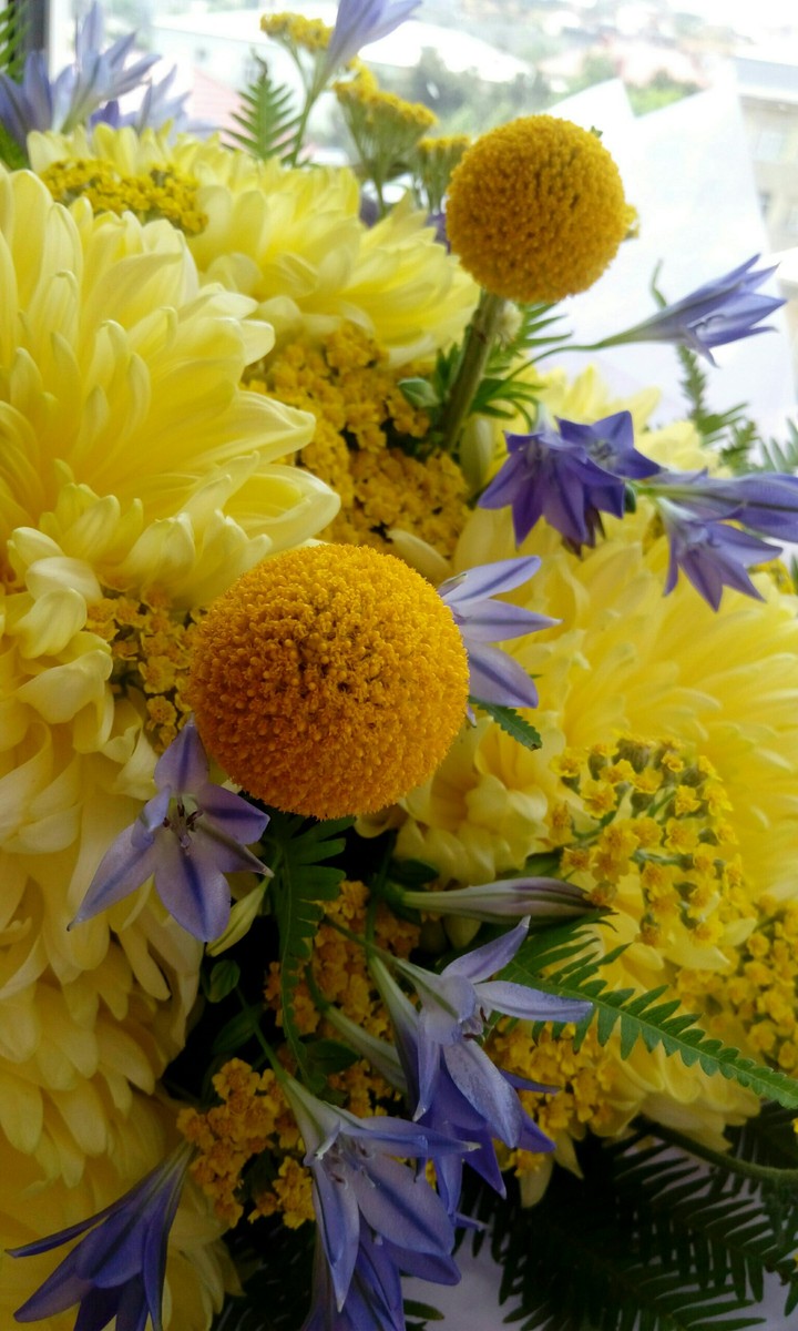 flowers