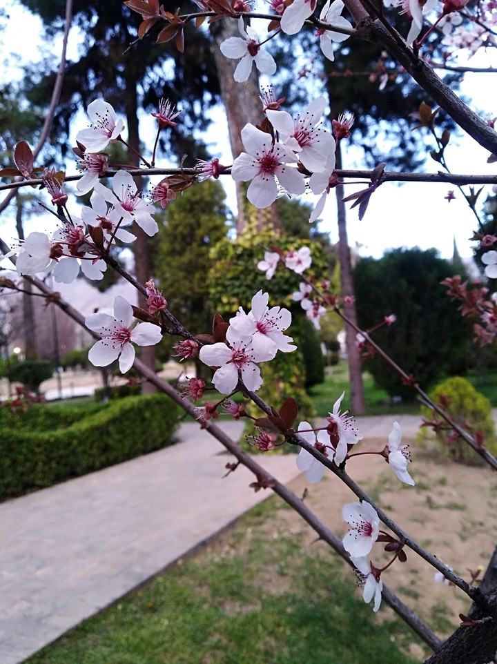 spring is empty of you