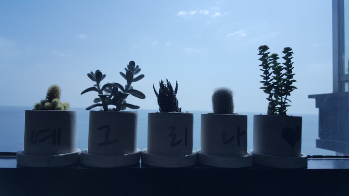 바다