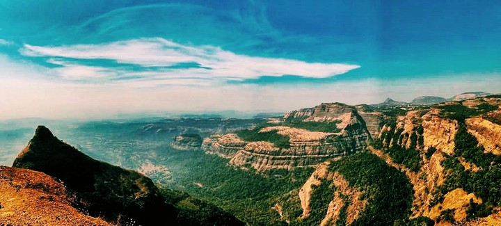 Lions point