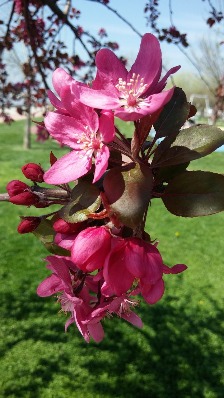 Spring arrived