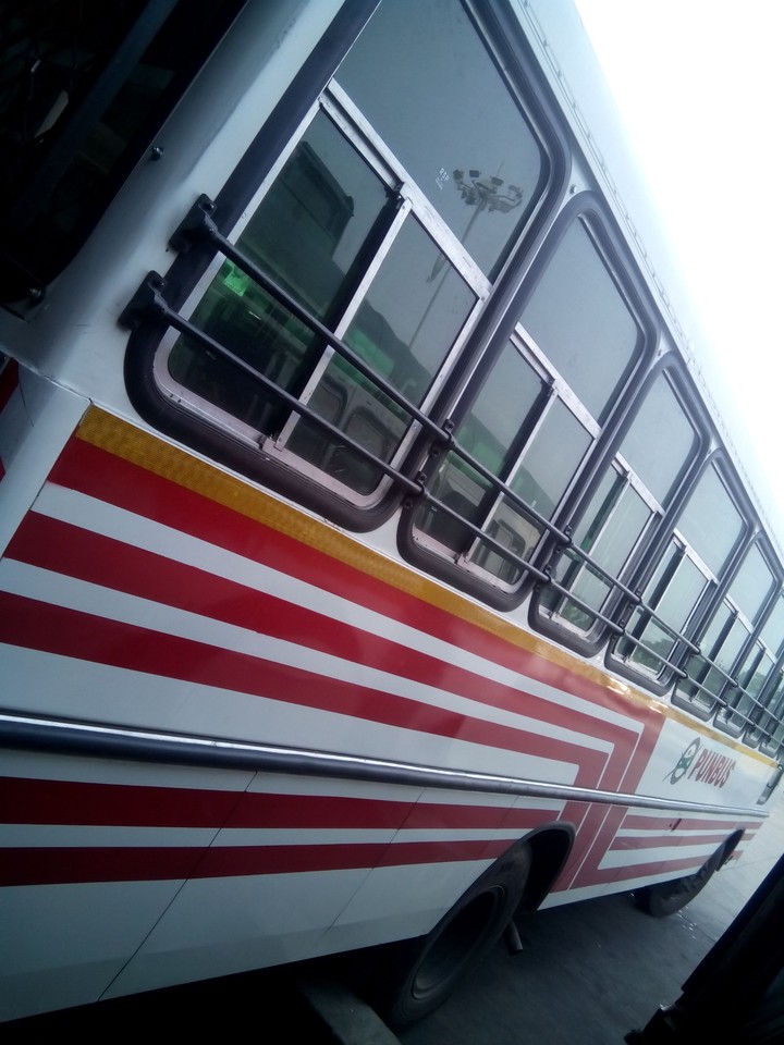 bus