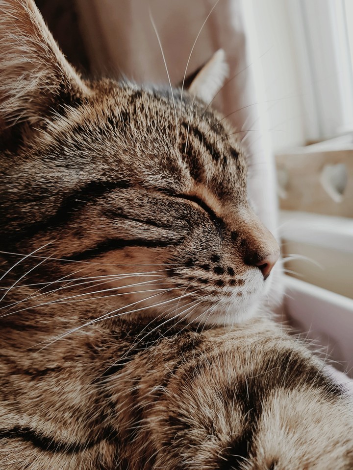 contemplation