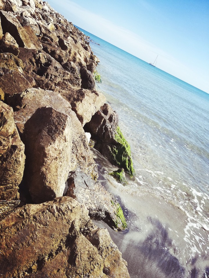 Mare