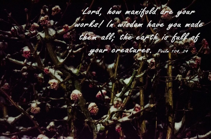 Lord - the great Creator