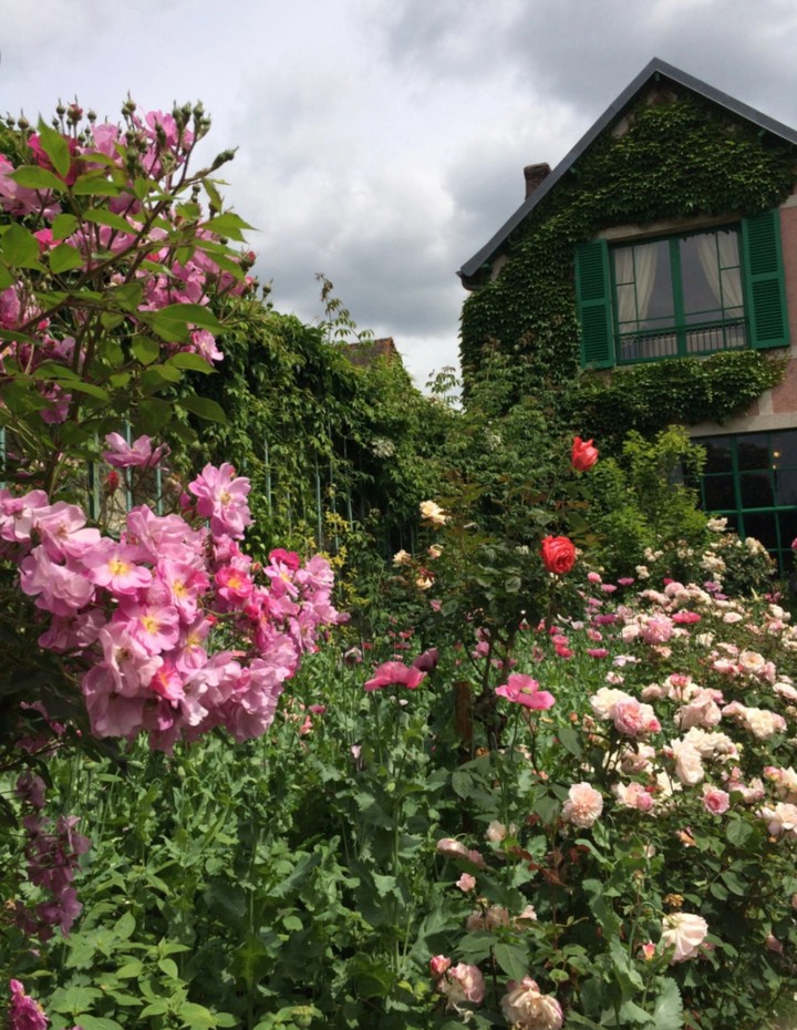 Monet's garden