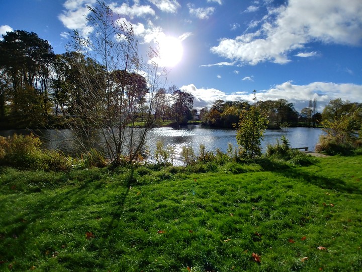 autumn