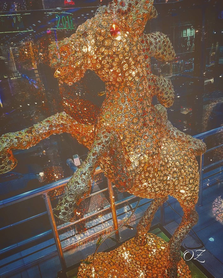 the shining horse