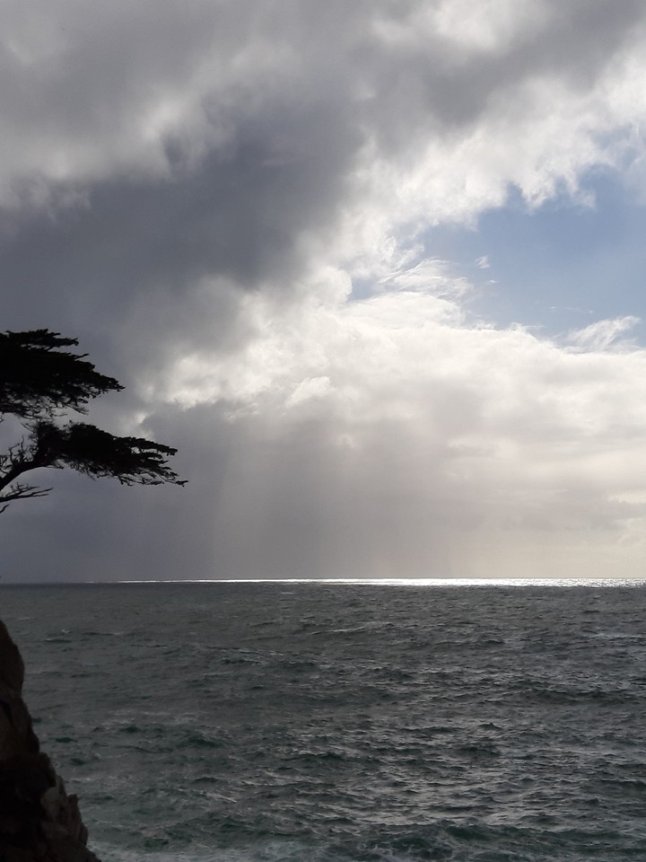 Monterey