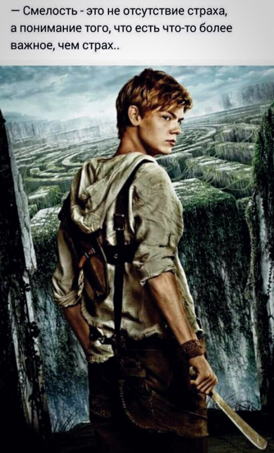 Newt❤