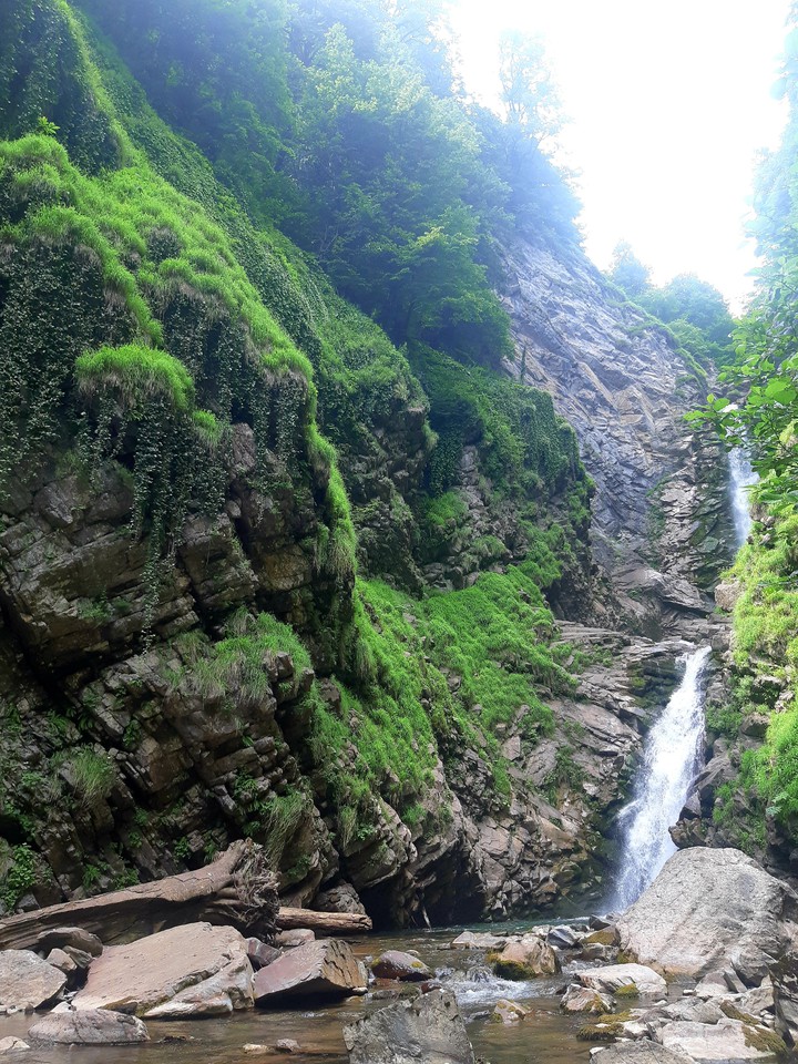 caucasus, sochi