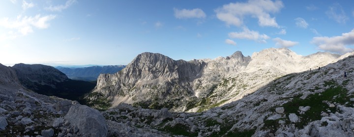 Planika