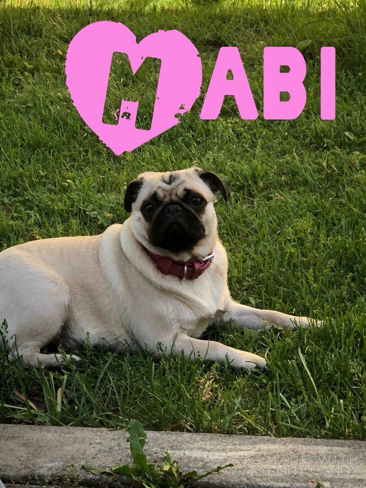Mabi ♥️