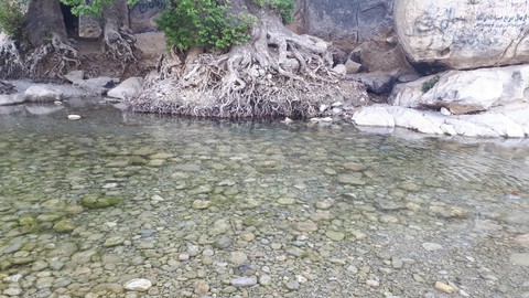 Tire Bagh In Fars