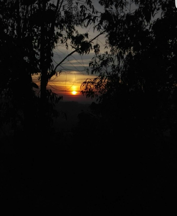 good evening sunset