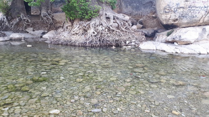 Tire Bagh In Fars