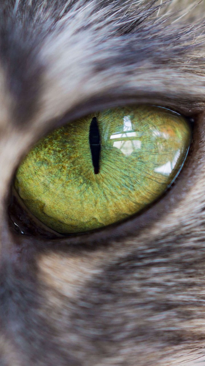 eyes like galaxy