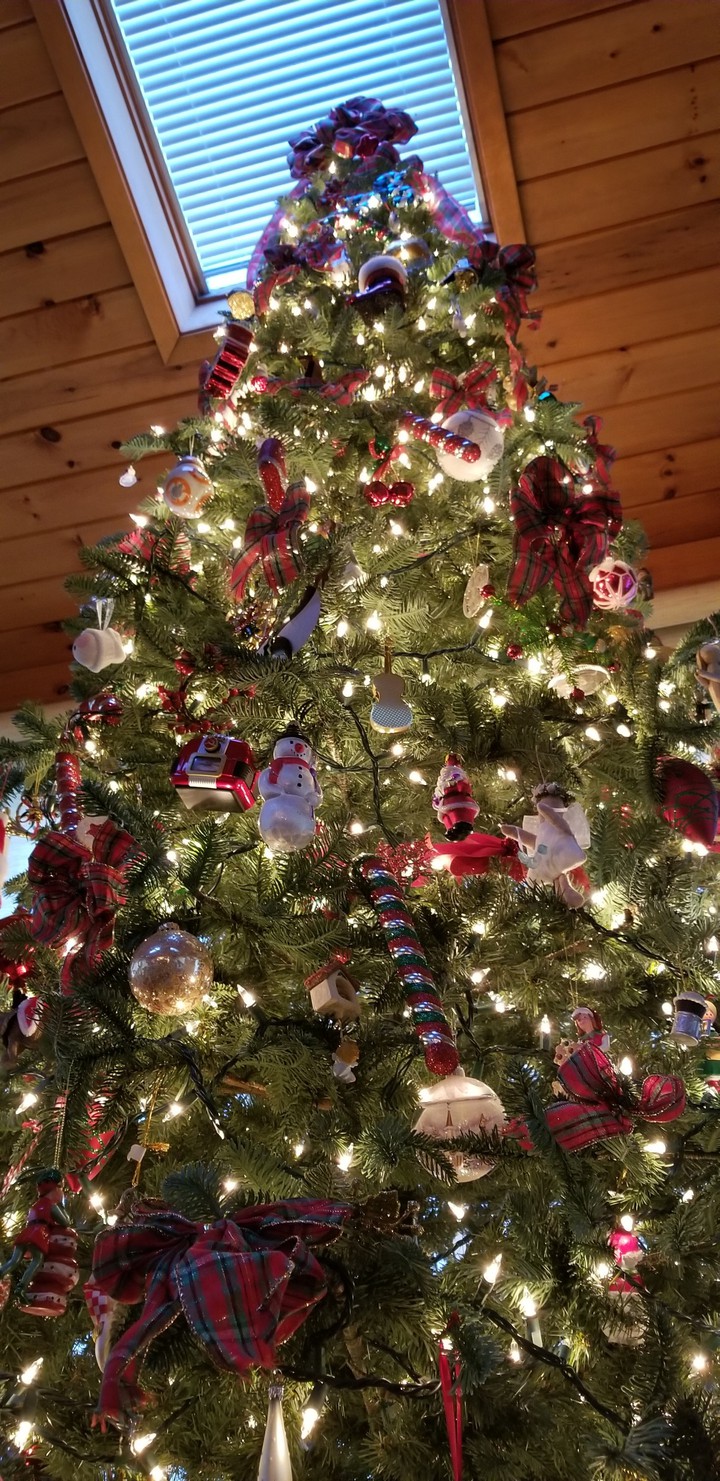 majestic tree