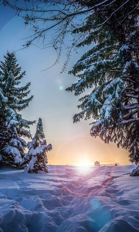 winter 2017