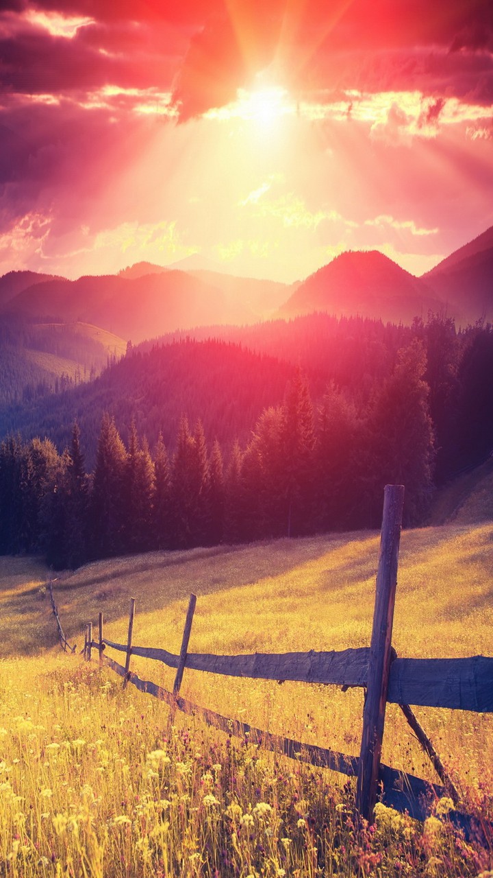 lovely evening