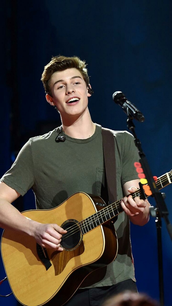 shawn mendes