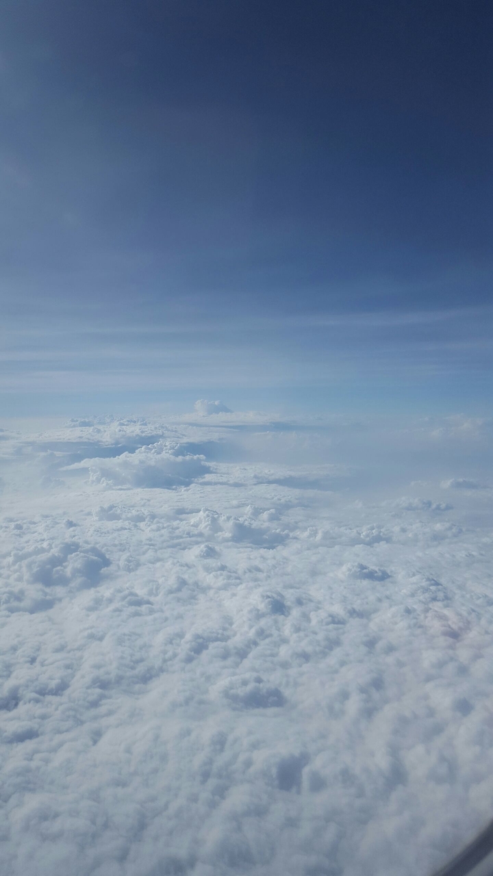 skyhigh