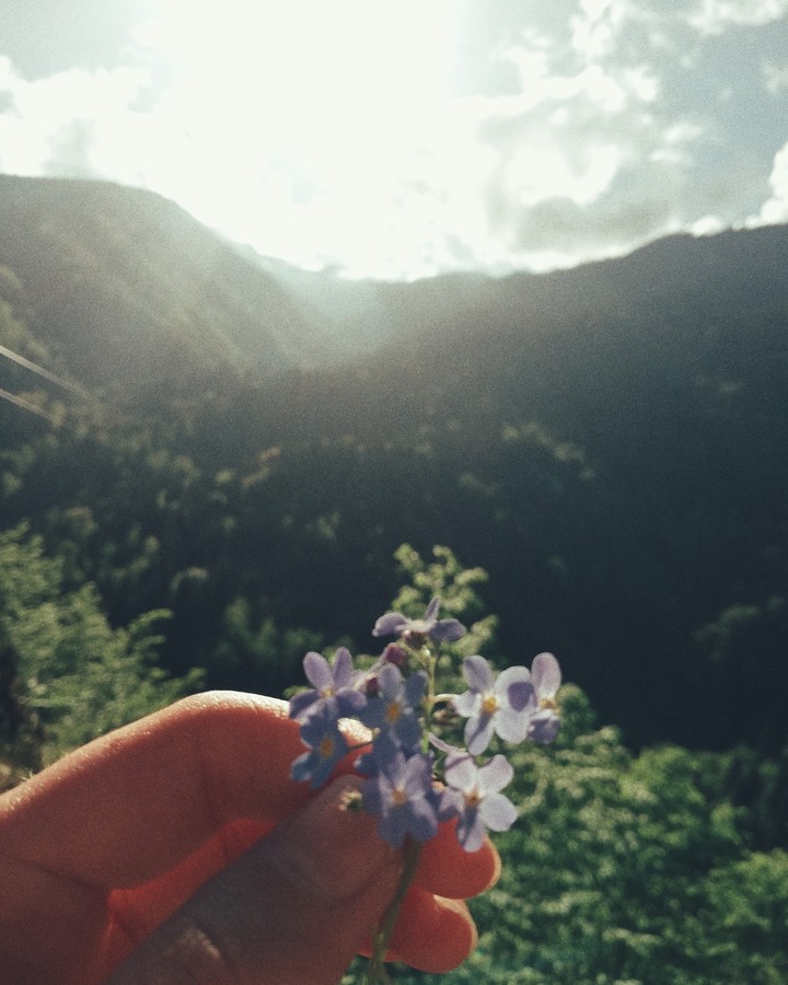 nature