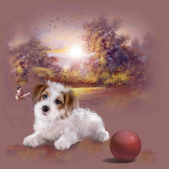 dog