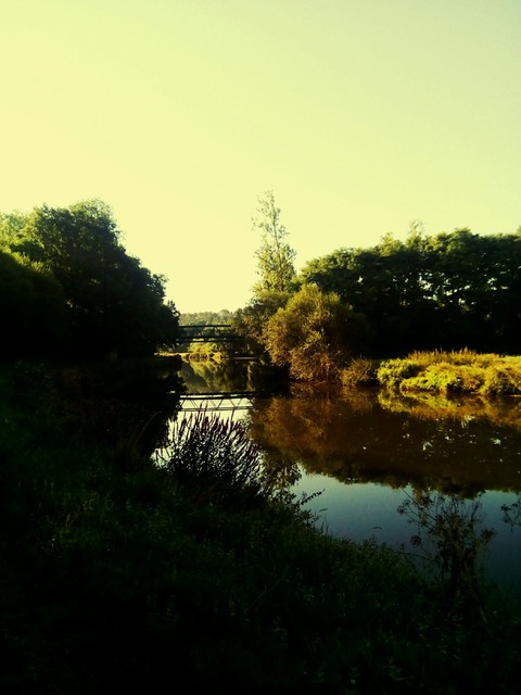 reflection
