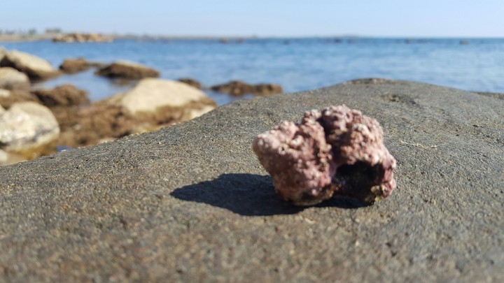 on the beach