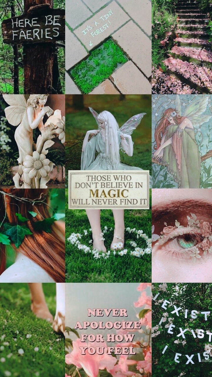 Fairy