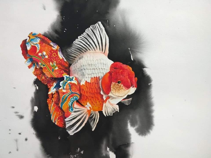 goldfish oranda