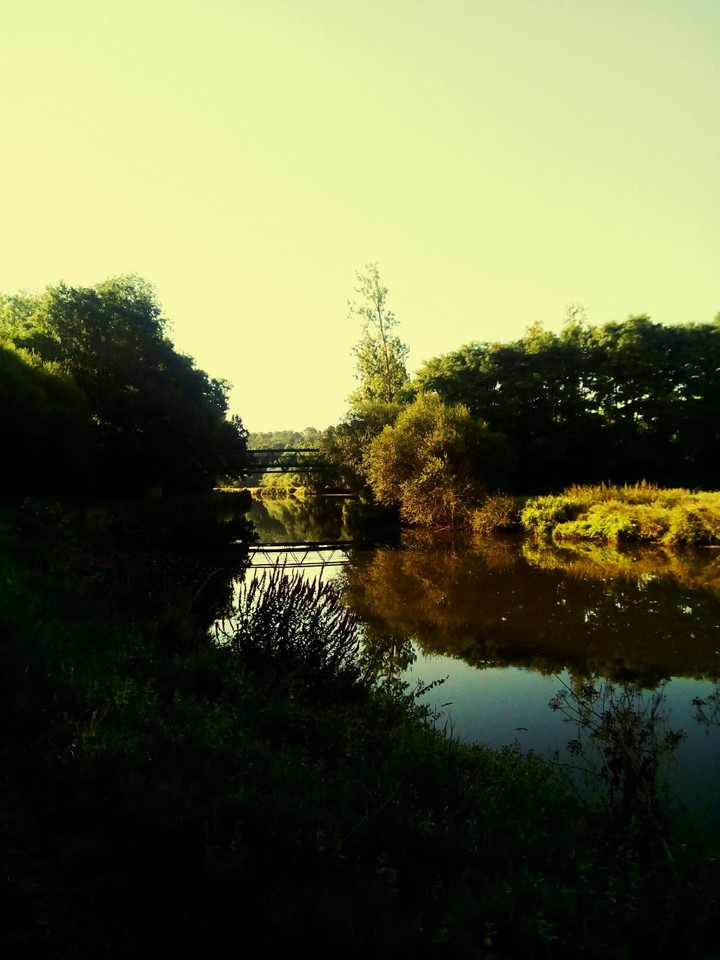 reflection