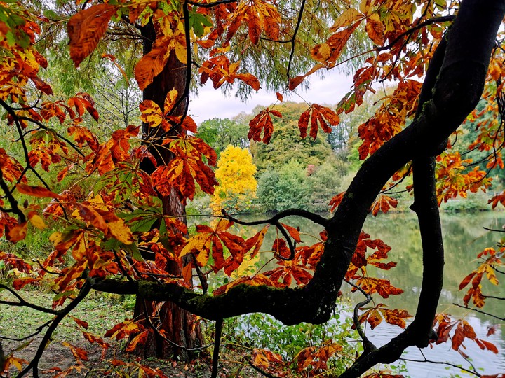 Herbst 2019