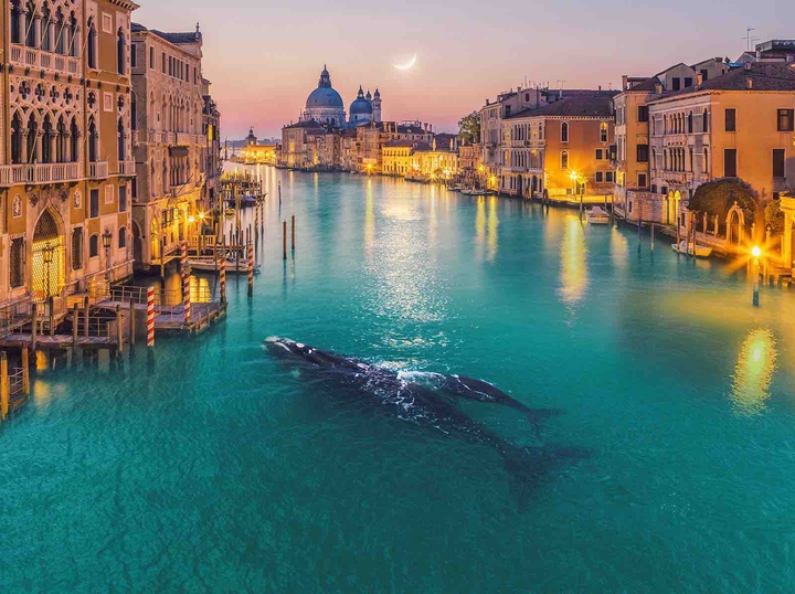 dream